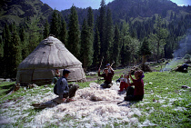 Heavenly Lake. Family outside yurt sitting around mass of fleece