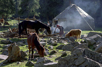 Heavenly Lake. Grazing horses and cow among rocks near a Yurt with woman and boy outside