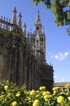 Exterior view of the cathedral wall and La Giralda Tower