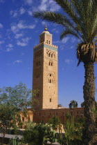 Koutoubia Mosque minaret with palms in the foreground