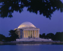 Jefferson Memorial illuminated at night with a lake in the foreground seen through the branches of a tree