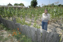 Elderly female farmer standing in corn field behind wooden fence