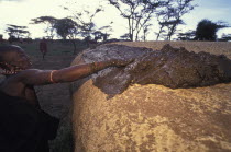 A Maasai woman covers her hut with cow dung which has the effect of waterproofing the roof .