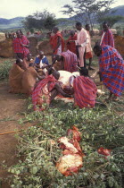 Maasai elders prepare the meat feast which is part of  the initiation ceremony that will bring the maasai Moran into manhood.