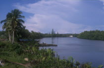 View along broad stretch of river lined by jungle with man working on boat moored beside small jetty.