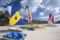 Line of boats with brightly coloured sails pulled up onto empty sandy beach fringed by palm trees with blue and white pedalo in the foreground.