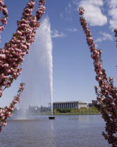 Lake Burley Griffin with the Captain Cook Memorial Water Jet seen between pink cherry blossom