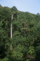 Mountain area of dense tropical forest