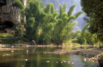 Fisherman on the bank of a tree lined river with boats by the other bank