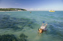 Tourists snorkelling from a dive boat in shallow water