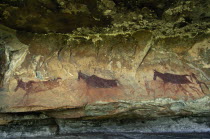 Bushmen San Rock art paintings of animals at Christmas cave