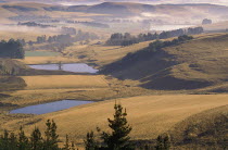 View across farmland