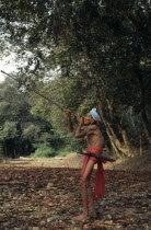 Iban man using a blowpipe in the forest