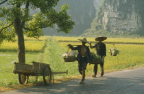 Men walking on a road past  paddy fields carrying goods on poles over their shoulders