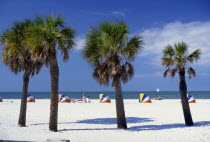 Four palm trees in front of sun loungers on the beach