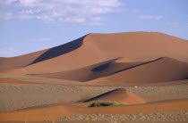 Desert landscape of sand dunes with a herd of gazelle grazing