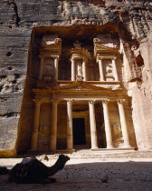 The Treasury.  Porticoed entrance carved in pink rock with camel lying down in foreground.