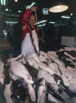 Fugu Globe fish being held up by man in the Koromon Ichiba market