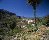 Fataga.  White painted mountain village and terraced fields amongst trees and cacti.