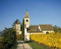 Farmhouse and chapel in vineyard.