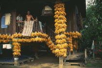 Bunches of shucked corn drying on the porch of a rural house