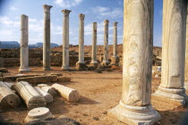 Ancient harbour of Cyrene and a city in its own right.  Colonnade and fallen masonry.