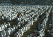 Massed dawn prayers to mark the end of Ramadan.