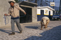 Man leading pig along street.