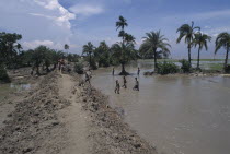 Emergency embankment against flooding