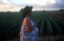 Pregnant woman standing beside a tobacco field