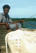 Local man on ferry with cow whose hide has decorative markings