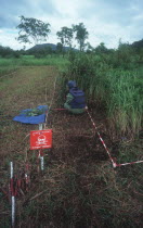 Mine clearing along Route 10 to Palin