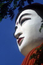 Detail of white face of Buddha statue in threequarter profile left  viewed from below.