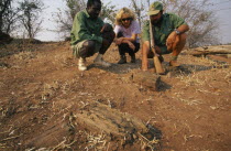 Trailists looking at a fossilised tree at mashonaland.