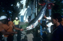 Deep Sea Fishing Contest with man holding the nose of his catch