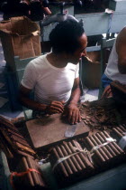 Worker in cigar factory