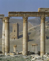 Palmyra monumental Arch  ruins  view towards funerary towers of Yemliko