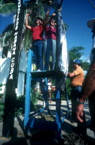 Marina Fishing Contest with men hanging their catch from a platform for weighing