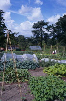 Wisley Royal Horticultural Society Garden. View across vegetable plots.