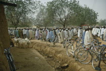 Lines of Muslim men and boys at Friday prayer meeting. Moslem