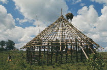 Building a hut in rural area.