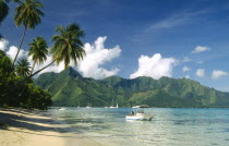 Yachts and motor boat moored offshore of sandy beach fringed with palms.  Jagged coastline beyond.