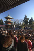 New Years Holiday worshippers crowd the steps of Narita San TempleNarita