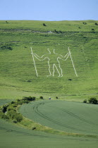 The Longman figure carved into the hillside