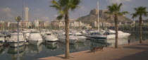 View of the port with Castillo de Santa Barbera rising behind.