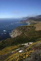 Pacific Coast Highway. View over green coastline with rocky cliffs