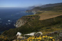 Pacific Coast Highway. View over green coastline with rocky cliffs