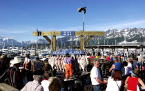 Fishermen hanging up catch in a busy port