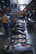 Tuna fish for sale at Tsukiji Market.