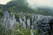 Pinnacles limestone rock formation.